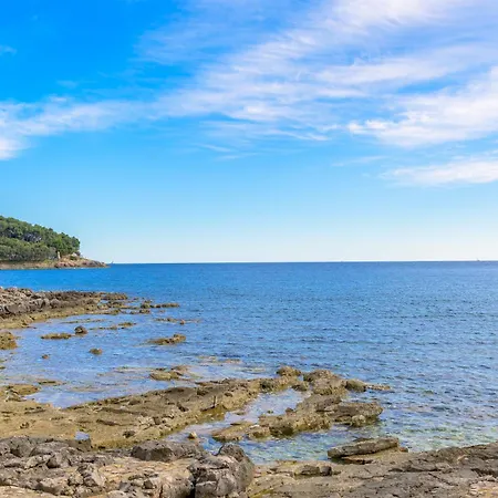 Apartment Elizabeta Pula