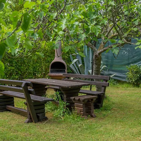 Elizabeta Apartment Pula